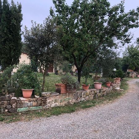 Agriturismo Oria Bianca Villa San Quirico d'Orcia Bagian luar foto